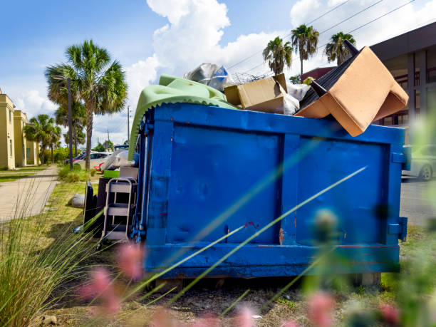 Best Hoarding Cleanup  in Palmview South, TX